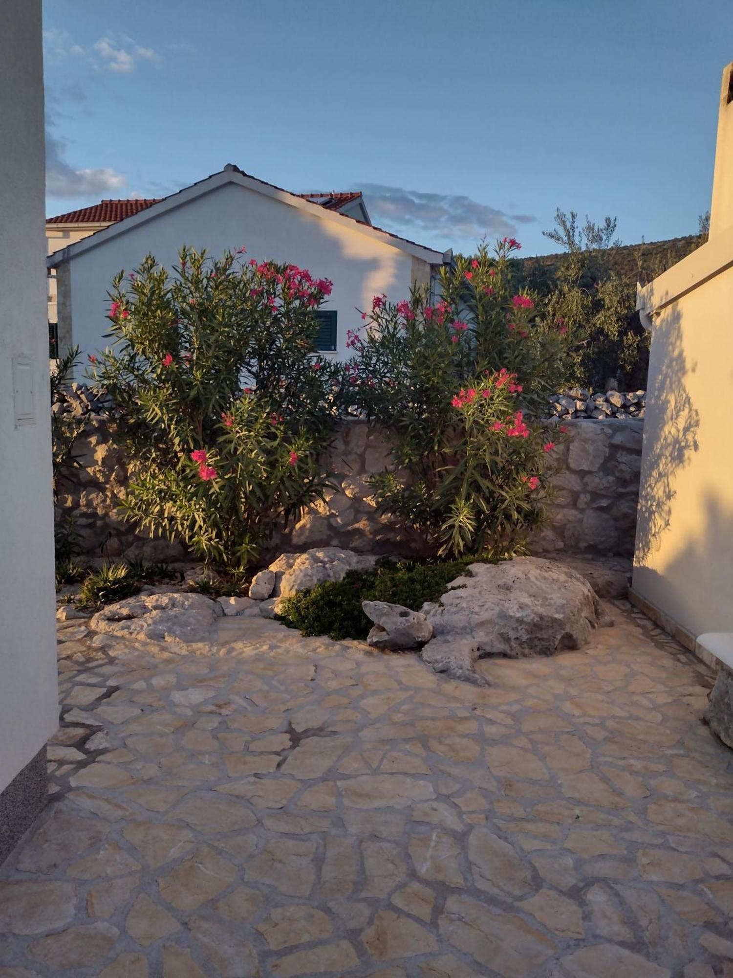 Apartment Olea Marina Bagian luar foto